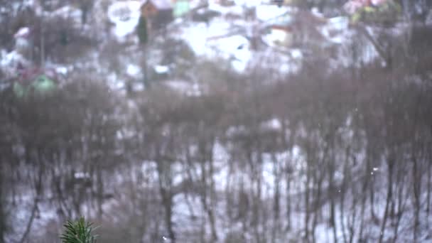 Fallender Schnee Gegen Bäume Zeitlupe — Stockvideo