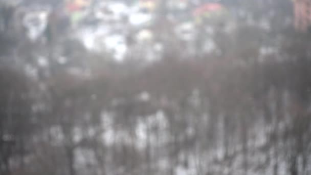 Sneeuw Valt Tegen Bomen Langzame Beweging — Stockvideo