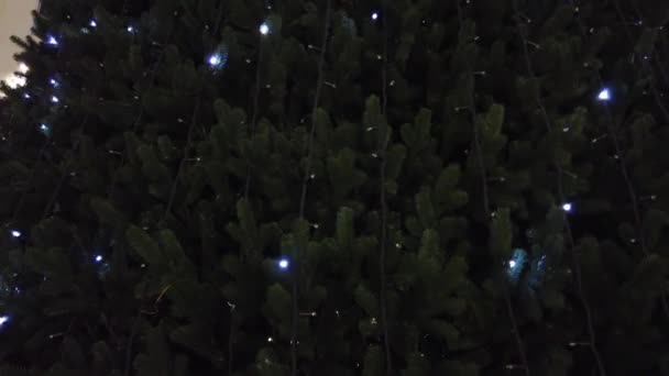 Albero Natale Nel Centro Commerciale — Video Stock