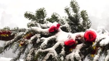 Karların altında oyuncaklarla süslenmiş Noel ağacının dalları.