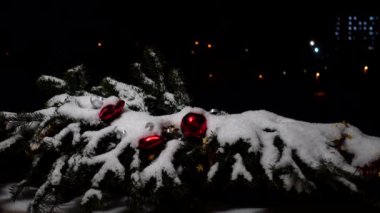 Noel ağacının dalları karların altında oyuncaklarla süslenmiş. Gece bir şehrin arka planında çekim yapmak.