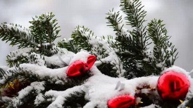 Karların altında oyuncaklarla süslenmiş Noel ağacının dalları.