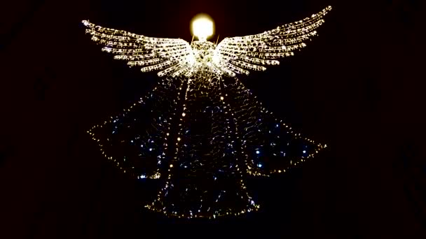 以天使的形式出现在夜空的背景下的花园 — 图库视频影像
