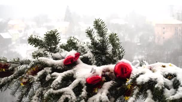 雪の下でおもちゃで飾られたクリスマスツリーの枝 — ストック動画