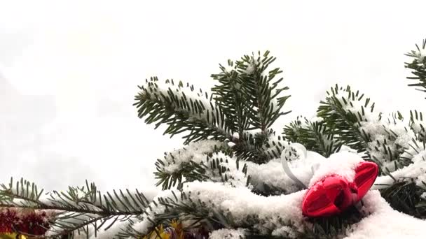 在雪地下装饰着玩具的圣诞树枝条 — 图库视频影像