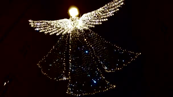 以天使的形式出现在夜空的背景下的花园 — 图库视频影像