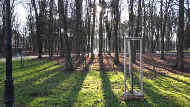 Camina Por Parque Disparos Por Tarde — Vídeo de stock