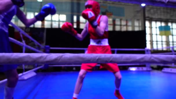 Boxers Box Ring Out Focus — Stock Video