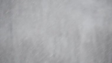 Ağaçların arka planında bir kar fırtınası görüntüsü.