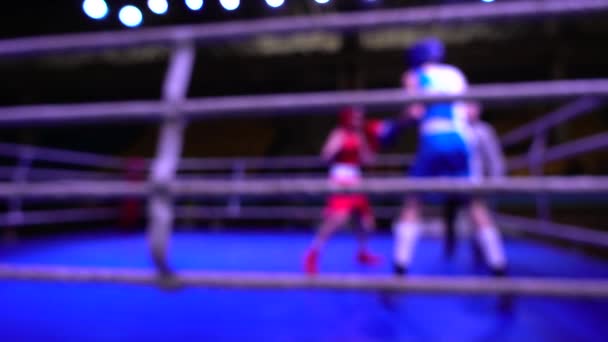 Boxeadores Ring Fuera Foco — Vídeos de Stock