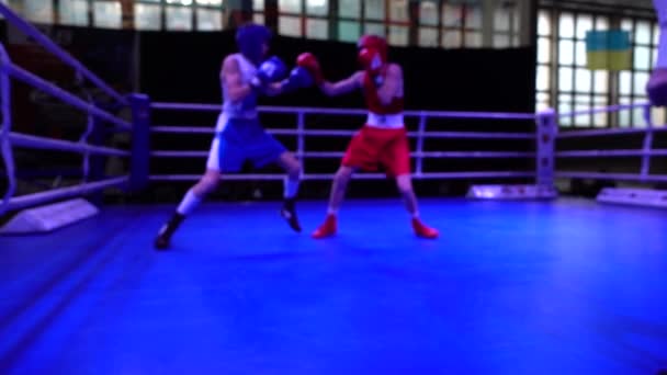 Boxeadores Ring Fuera Foco — Vídeo de stock