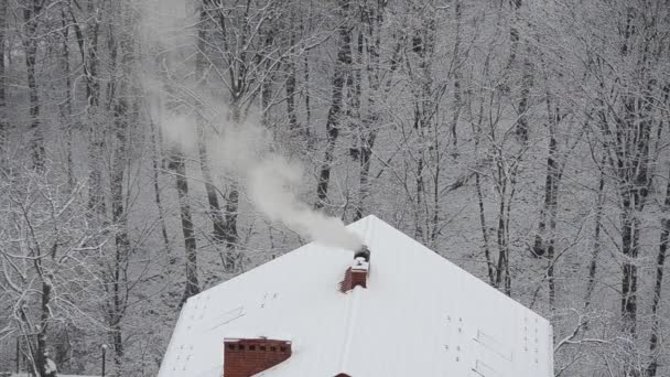 Rook Uit Schoorsteen Een Sneeuwachtergrond — Stockvideo