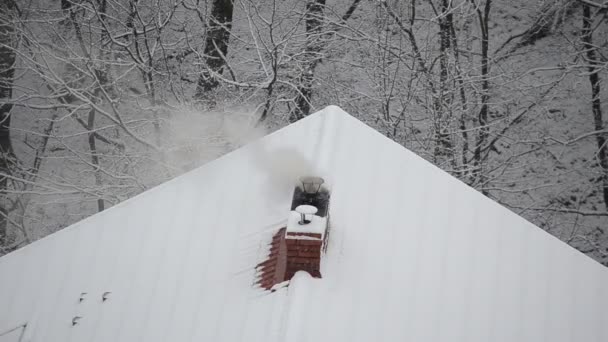 Rook Uit Schoorsteen Een Sneeuwachtergrond — Stockvideo