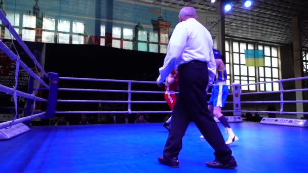 Lviv Ukraine Dezembro 2019 Campeonato Ucrânia Boxe Entre Jovens 2002 — Vídeo de Stock