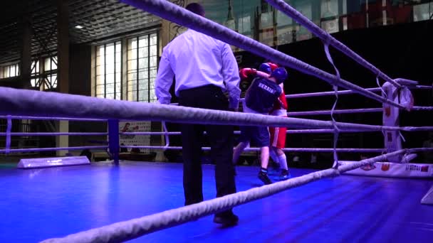 Lviv Ukraine Décembre 2019 Championnat Ukraine Boxe Chez Les Jeunes — Video