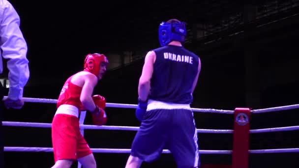 Lviv Ucrania Diciembre 2019 Campeonato Ucrania Boxeo Entre Jóvenes 2002 — Vídeos de Stock