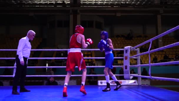 Lviv Ucrania Diciembre 2019 Campeonato Ucrania Boxeo Entre Jóvenes 2002 — Vídeos de Stock