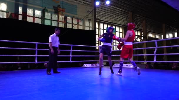 Lviv Ucrania Diciembre 2019 Campeonato Ucrania Boxeo Entre Jóvenes 2002 — Vídeo de stock