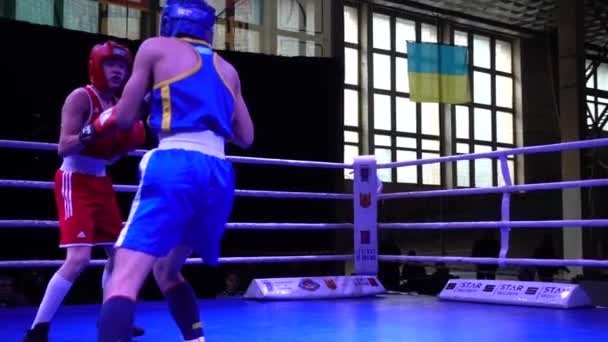 Lviv Ukraine Dezembro 2019 Campeonato Ucrânia Boxe Entre Jovens 2002 — Vídeo de Stock