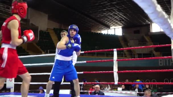 Lviv Ukraina December 2019 Championship Ukraine Boxing Youth 2002 2003 — Stockvideo