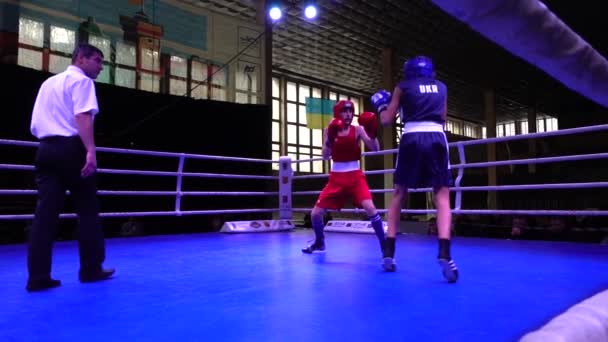 Lviv Ukraine Dezembro 2019 Campeonato Ucrânia Boxe Entre Jovens 2002 — Vídeo de Stock