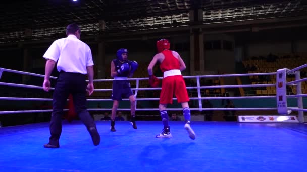 Lviv Ucrania Diciembre 2019 Campeonato Ucrania Boxeo Entre Jóvenes 2002 — Vídeos de Stock