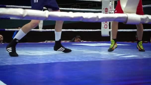 Lviv Ukraine Dezembro 2019 Campeonato Ucrânia Boxe Entre Jovens 2002 — Vídeo de Stock