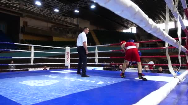 Lviv Ucrânia Dezembro 2019 Campeonato Ucrânia Boxe Entre Jovens 2002 — Vídeo de Stock