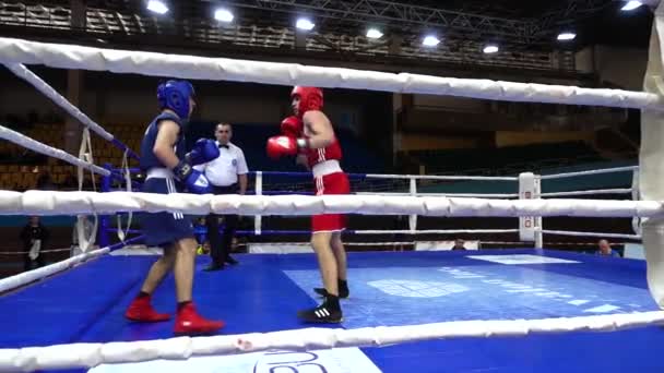 Lviv Ucrania Diciembre 2019 Campeonato Ucrania Boxeo Entre Jóvenes 2002 — Vídeos de Stock