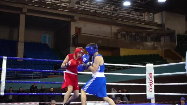 Lviv Ucrania Diciembre 2019 Campeonato Ucrania Boxeo Entre Jóvenes 2002 — Vídeo de stock