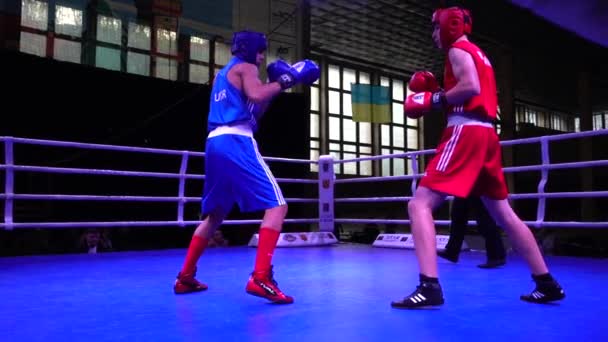 Lviv Ucrania Diciembre 2019 Campeonato Ucrania Boxeo Entre Jóvenes 2002 — Vídeo de stock