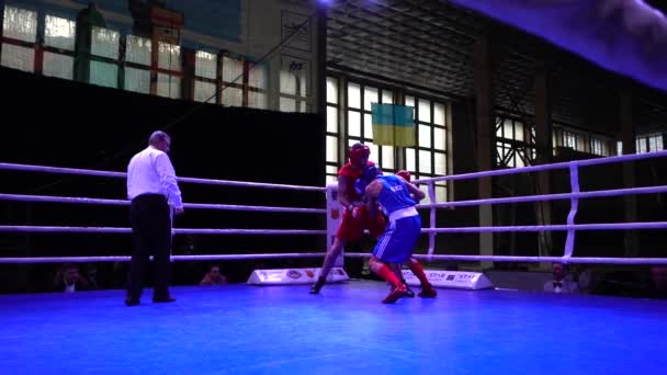 Lviv Ucrania Diciembre 2019 Campeonato Ucrania Boxeo Entre Jóvenes 2002 — Vídeos de Stock