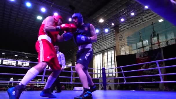 Lviv Ucrania Diciembre 2019 Campeonato Ucrania Boxeo Entre Jóvenes 2002 — Vídeos de Stock