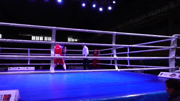 Lviv Ucrania Diciembre 2019 Campeonato Ucrania Boxeo Entre Jóvenes 2002 — Vídeos de Stock