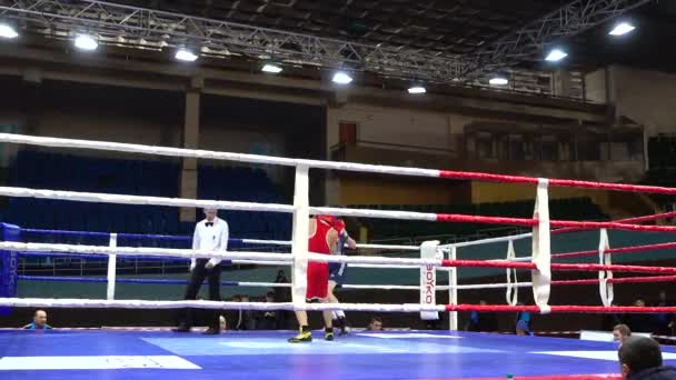 Lviv Ukraine December 2019 Championship Ukraine Boxing Youth 2002 2003 — Stockvideo