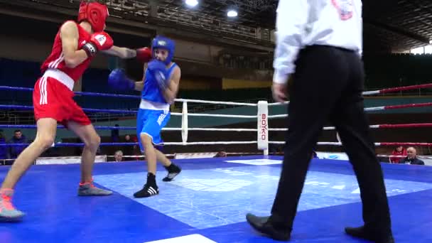 Lviv Ucrania Diciembre 2019 Campeonato Ucrania Boxeo Entre Jóvenes 2002 — Vídeos de Stock