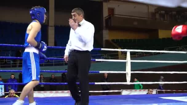 Lviv Ucrania Diciembre 2019 Campeonato Ucrania Boxeo Entre Jóvenes 2002 — Vídeos de Stock