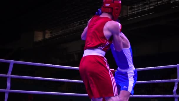 Lviv Ucrânia Dezembro 2019 Campeonato Ucrânia Boxe Entre Jovens 2002 — Vídeo de Stock