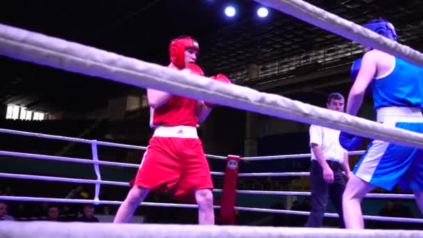 Lviv Ukraine December 2019 Championship Ukraine Boxing Youth 2002 2003 — Wideo stockowe