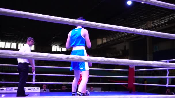 Lviv Ukraine December 2019 Championship Ukraine Boxing Youth 2002 2003 — Stok video