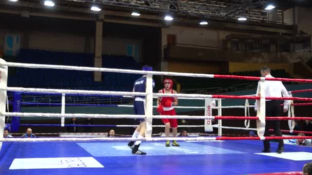 Lviv Ucrania Diciembre 2019 Campeonato Ucrania Boxeo Entre Jóvenes 2002 — Vídeos de Stock