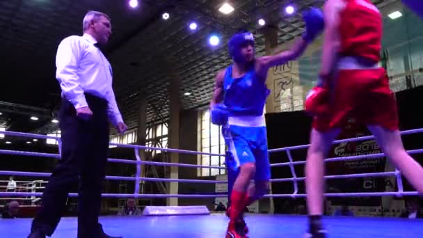 Lviv Ukraine December 2019 Championship Ukraine Boxing Youth 2002 2003 — Stok video