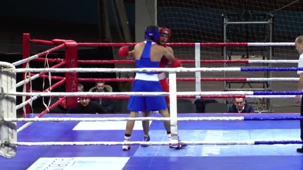 Lviv Ukraine December 2019 Championship Ukraine Boxing Youth 2002 2003 — ストック動画