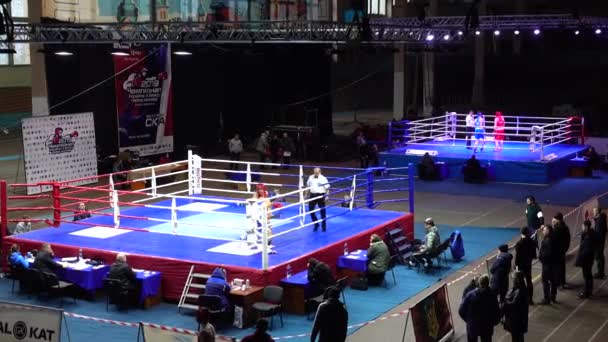 Lviv Ukraine Décembre 2019 Championnat Ukraine Boxe Chez Les Jeunes — Video