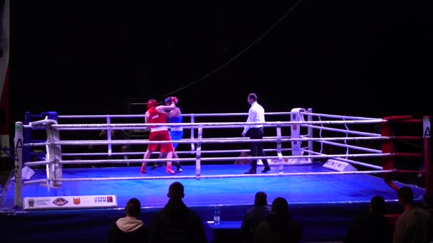 Lviv Ukraine December 2019 Championship Ukraine Boxing Youth 2002 2003 — Wideo stockowe