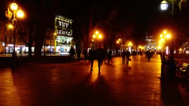 Movimiento Personas Largo Avenida Nocturna Boulevard Caducidad — Vídeos de Stock