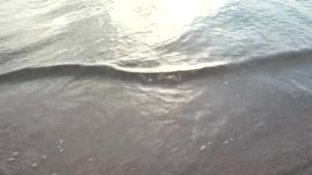 Havet Skjuter Stranden Havssurf — Stockvideo