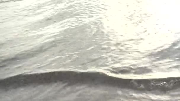 Mer Tir Sur Plage Surf Mer — Video