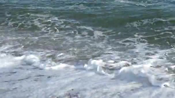 Ola Marina Disparos Playa — Vídeo de stock