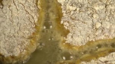 Demir bir tavada tavuk pirzolası hazırlamak. Yemek pişirme süreci.